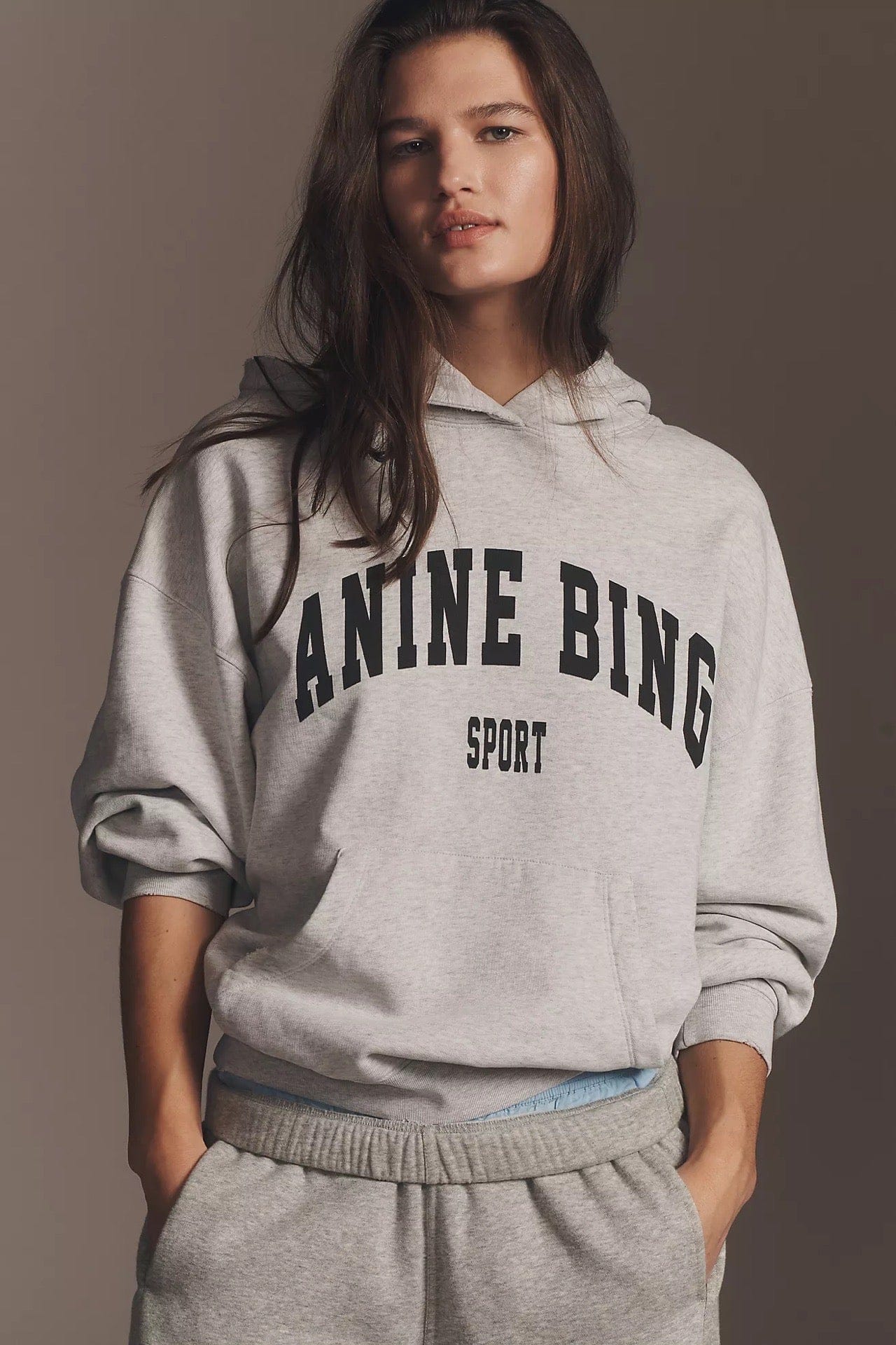 Anine Bing Sport Harvey Sweatshirt in Heather Grey