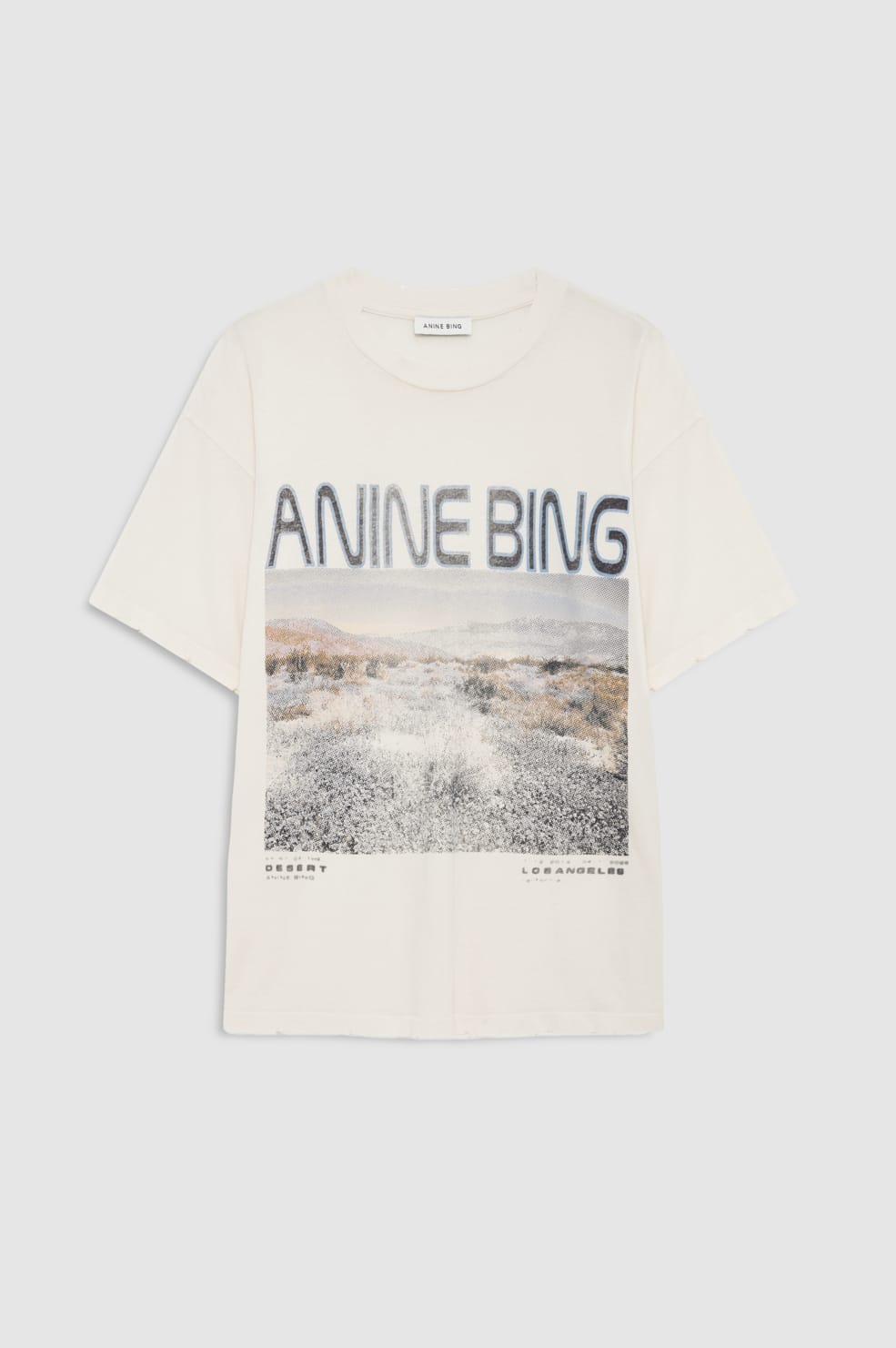 Anine Bing Cade Tee Wildflowers