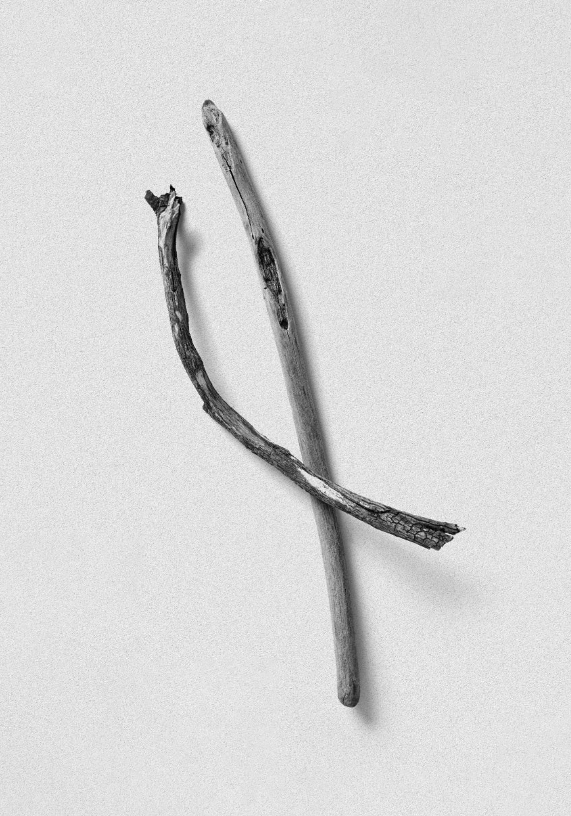 Driftwood Sage & Salt Candle 1200G