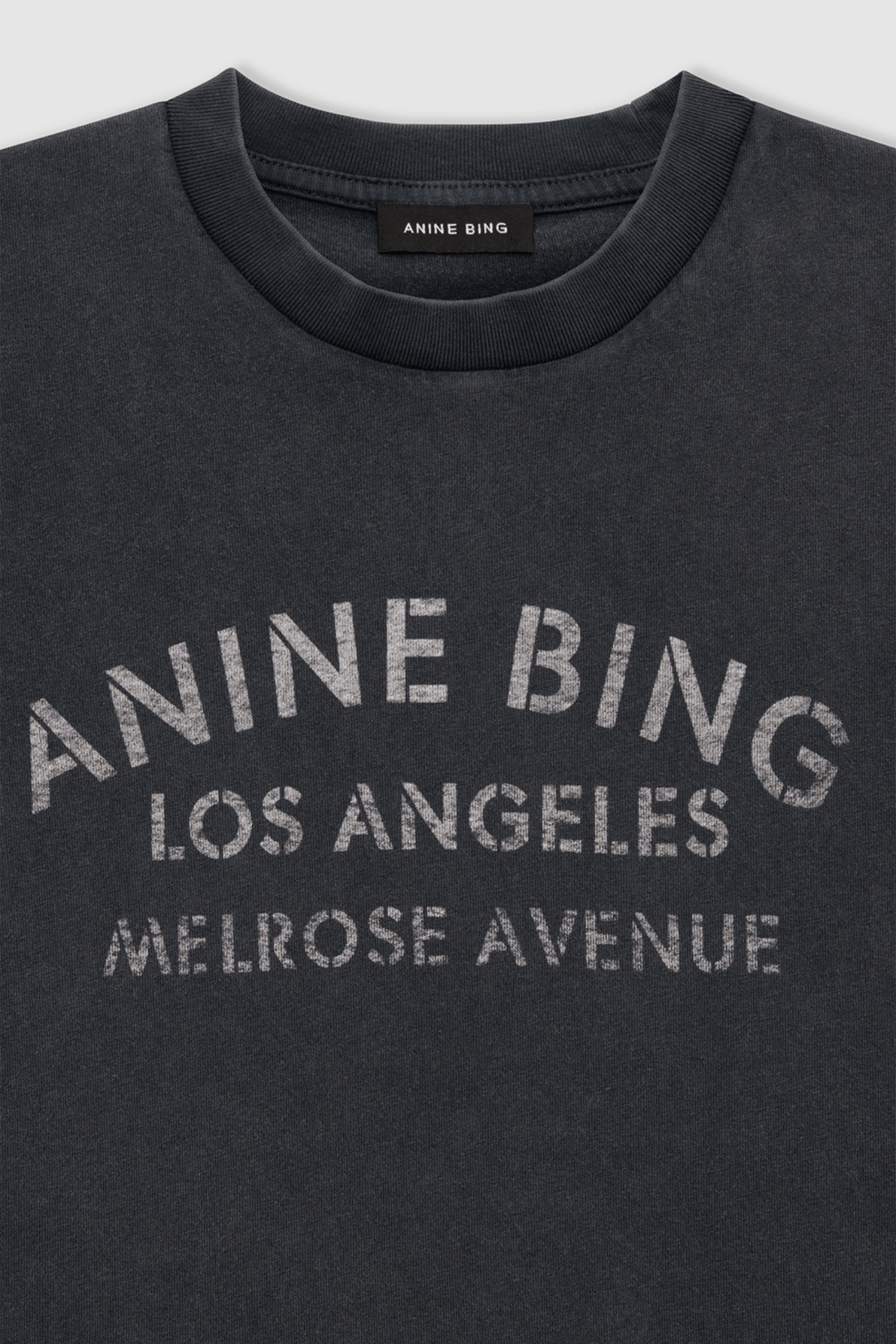 Anine Bing Cade Tee Melrose Stencil Washed Black