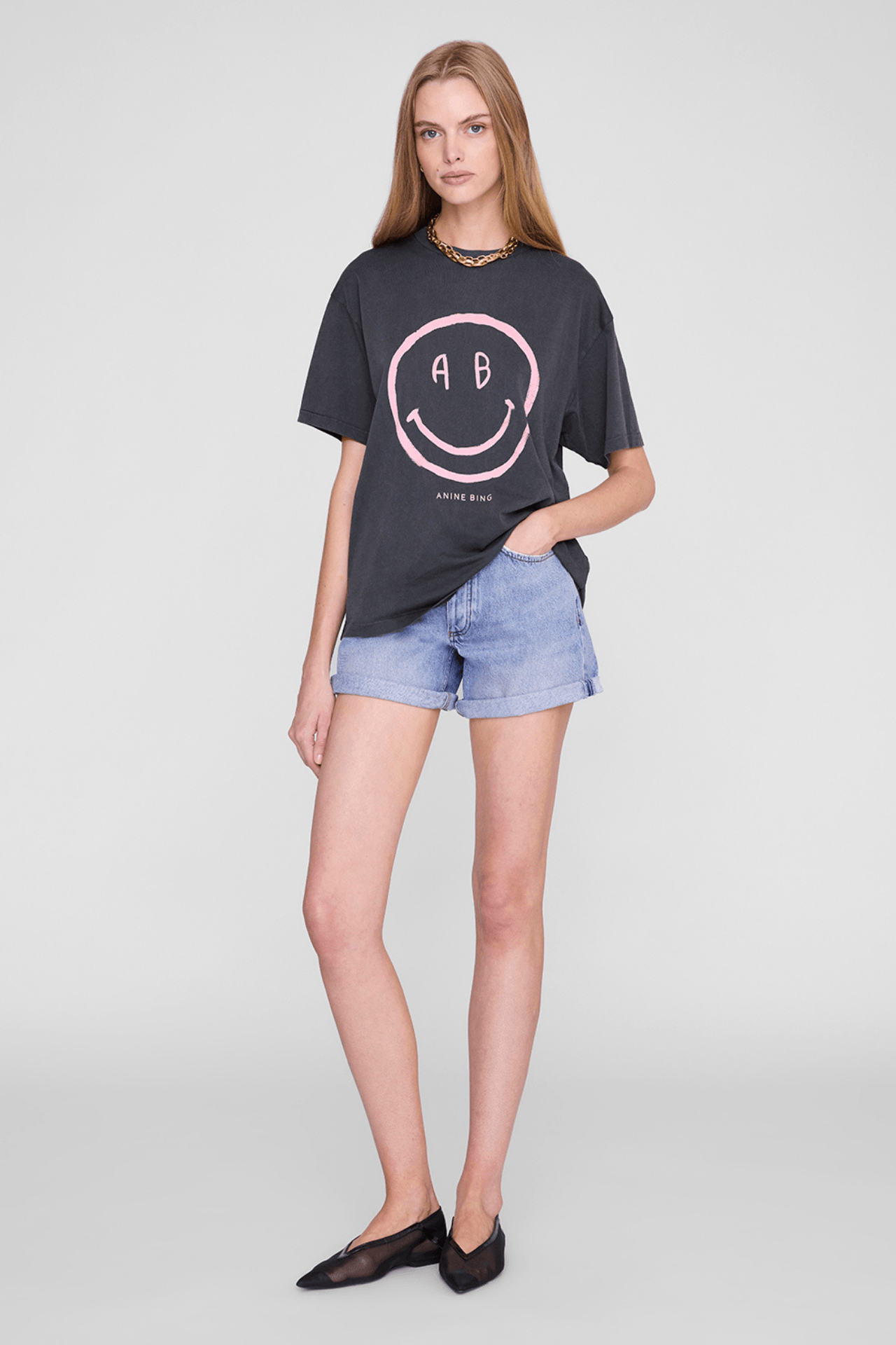 Anine Bing Cade Tee Smiley Washed Grey