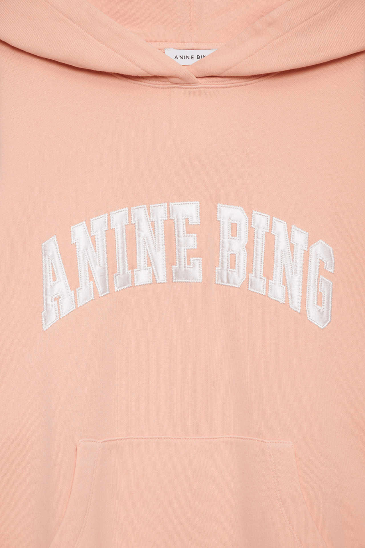 Anine Bing Harvey Sweatshirt Coral Pink