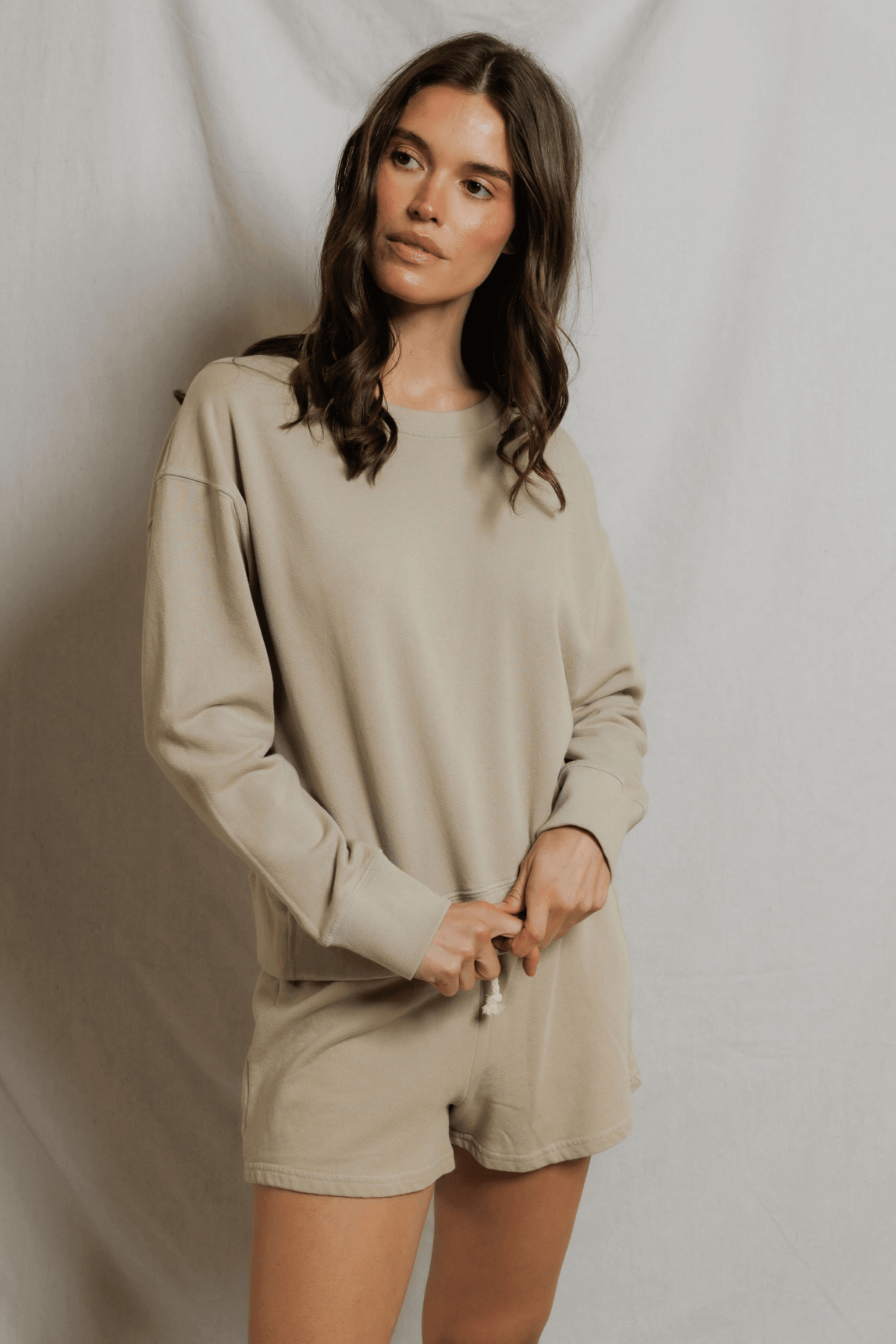 Perfectwhitetee Tyler Pullover Sweatshirt Driftwood