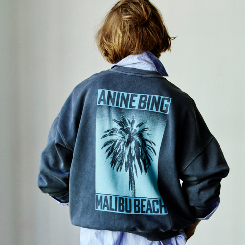 Anine Bing