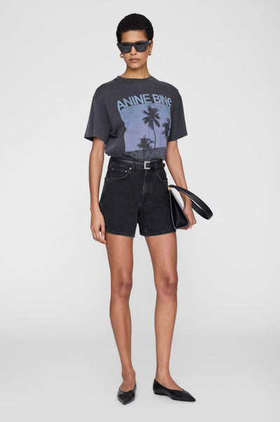 Anine Bing Cade Tee Palms Washed Grey