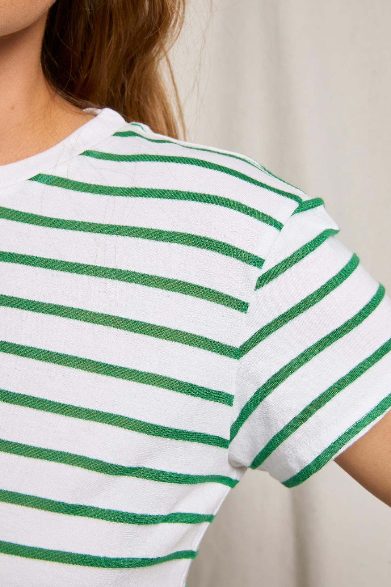 Everett boxy Crewneck Tee Grass Stripe