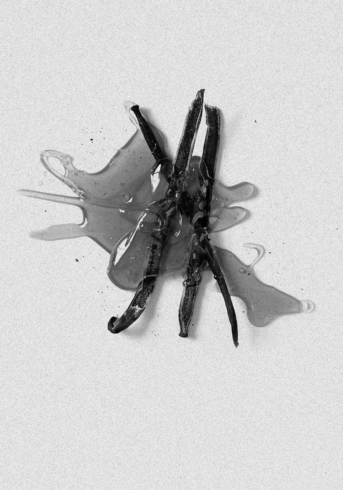 Vanilla Candle 1200G