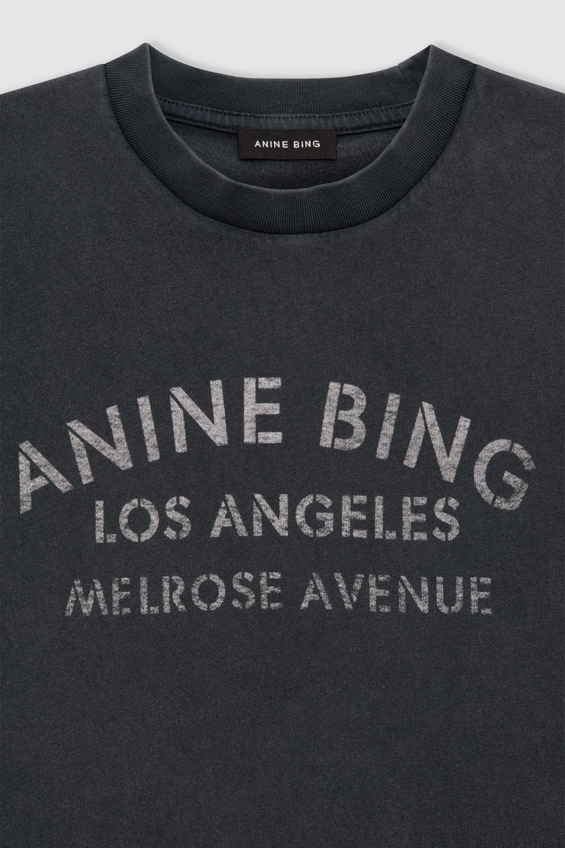 Anine Bing Cade Tee Melrose Stencil Washed Black