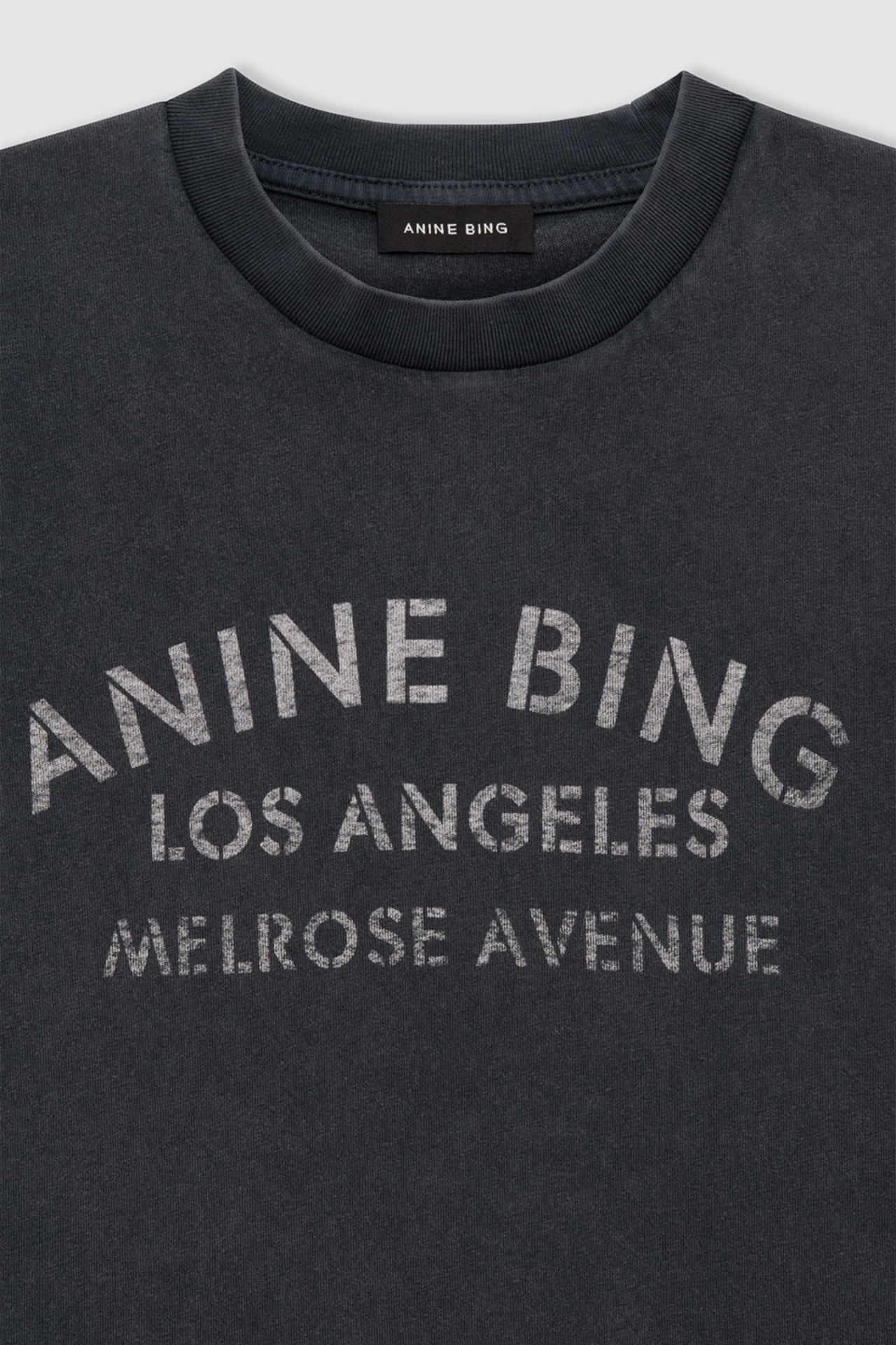 Anine Bing Cade Tee Melrose Stencil Washed Black