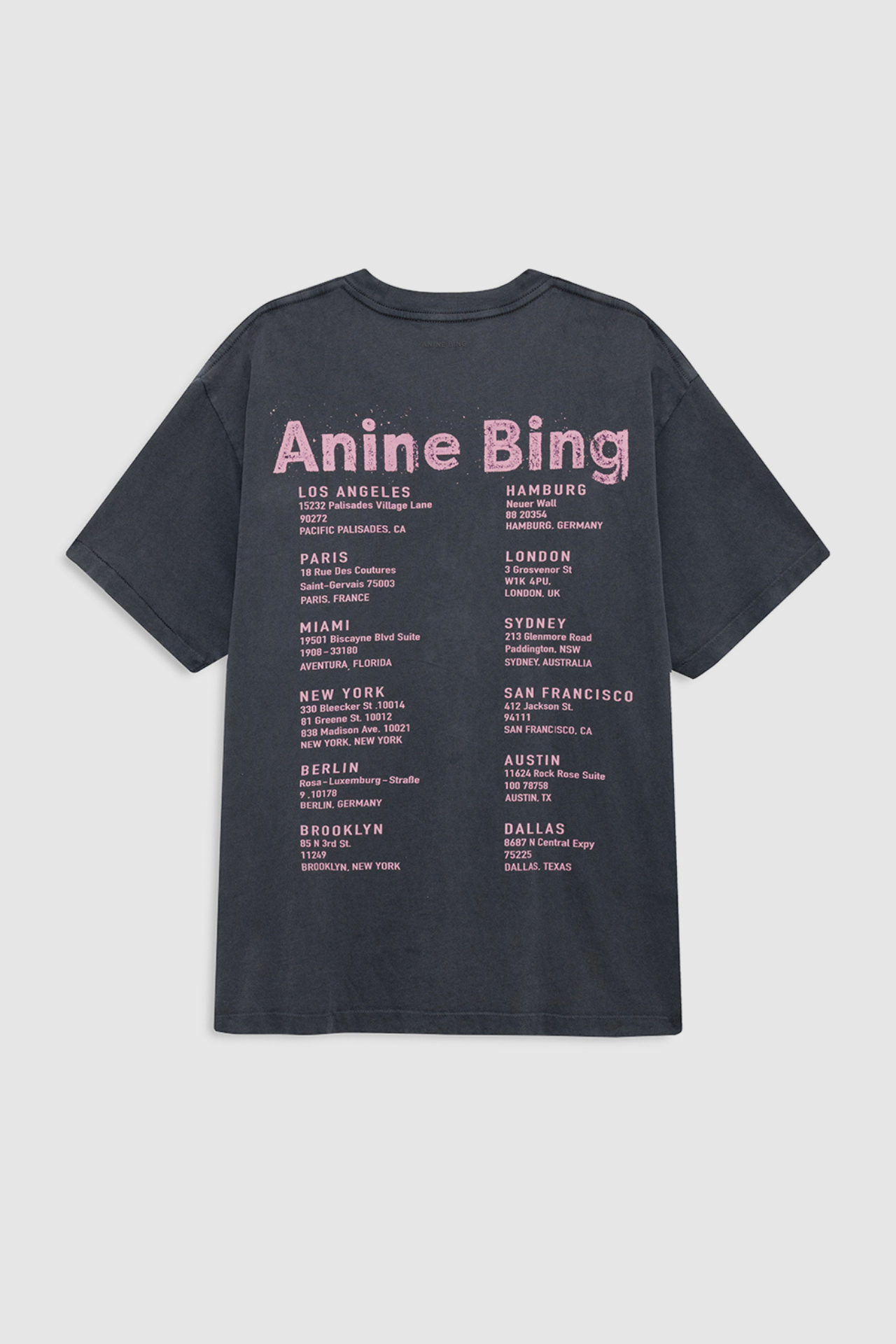 Anine Bing Cade Tee Smiley Washed Grey