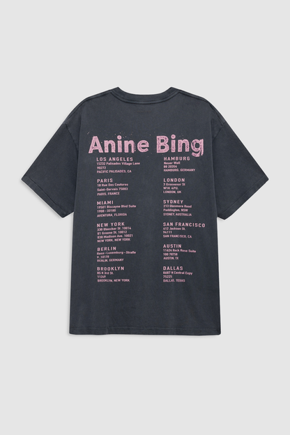 Anine Bing Cade Tee Smiley Washed Grey