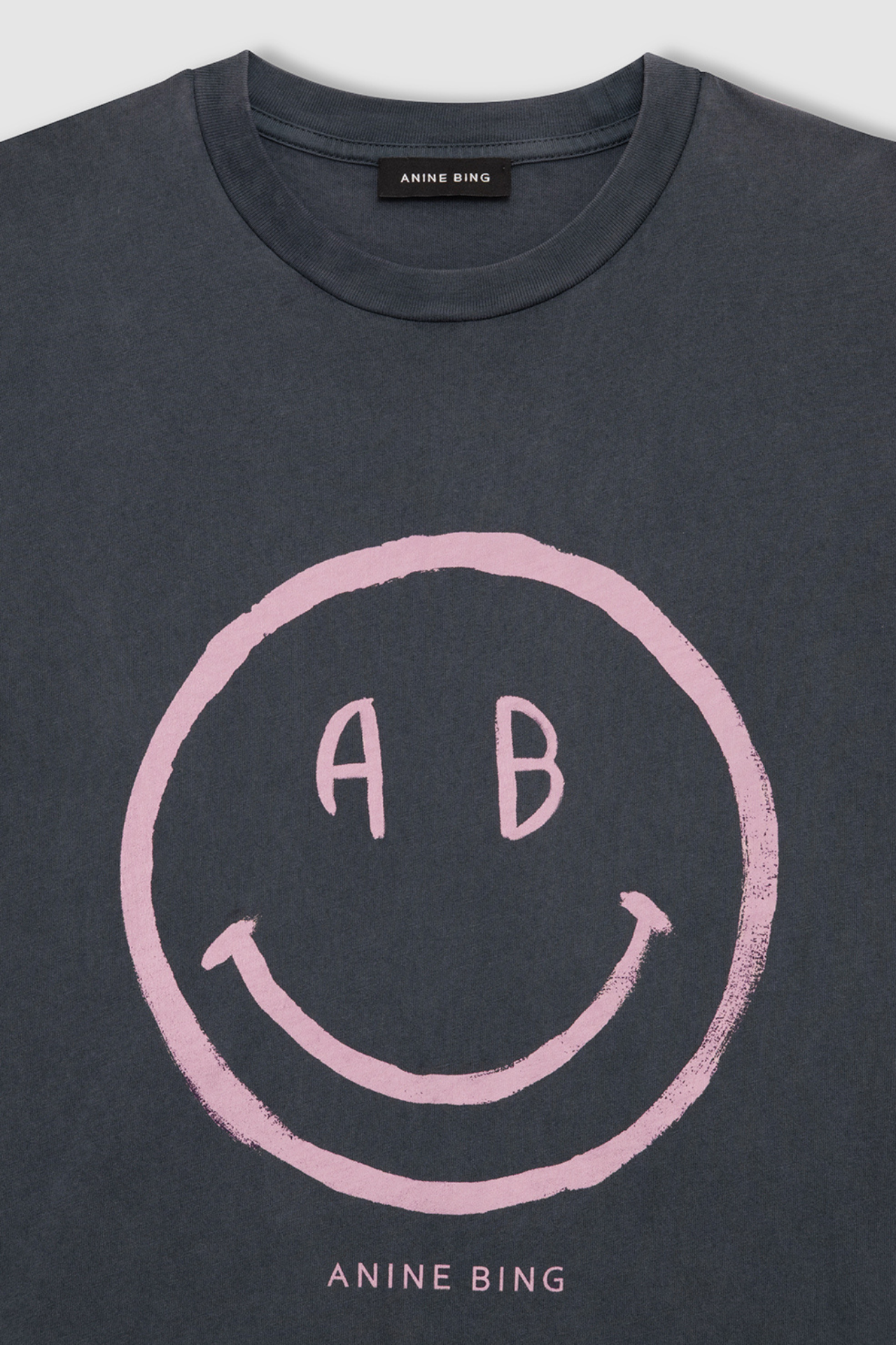 Anine Bing Cade Tee Smiley Washed Grey