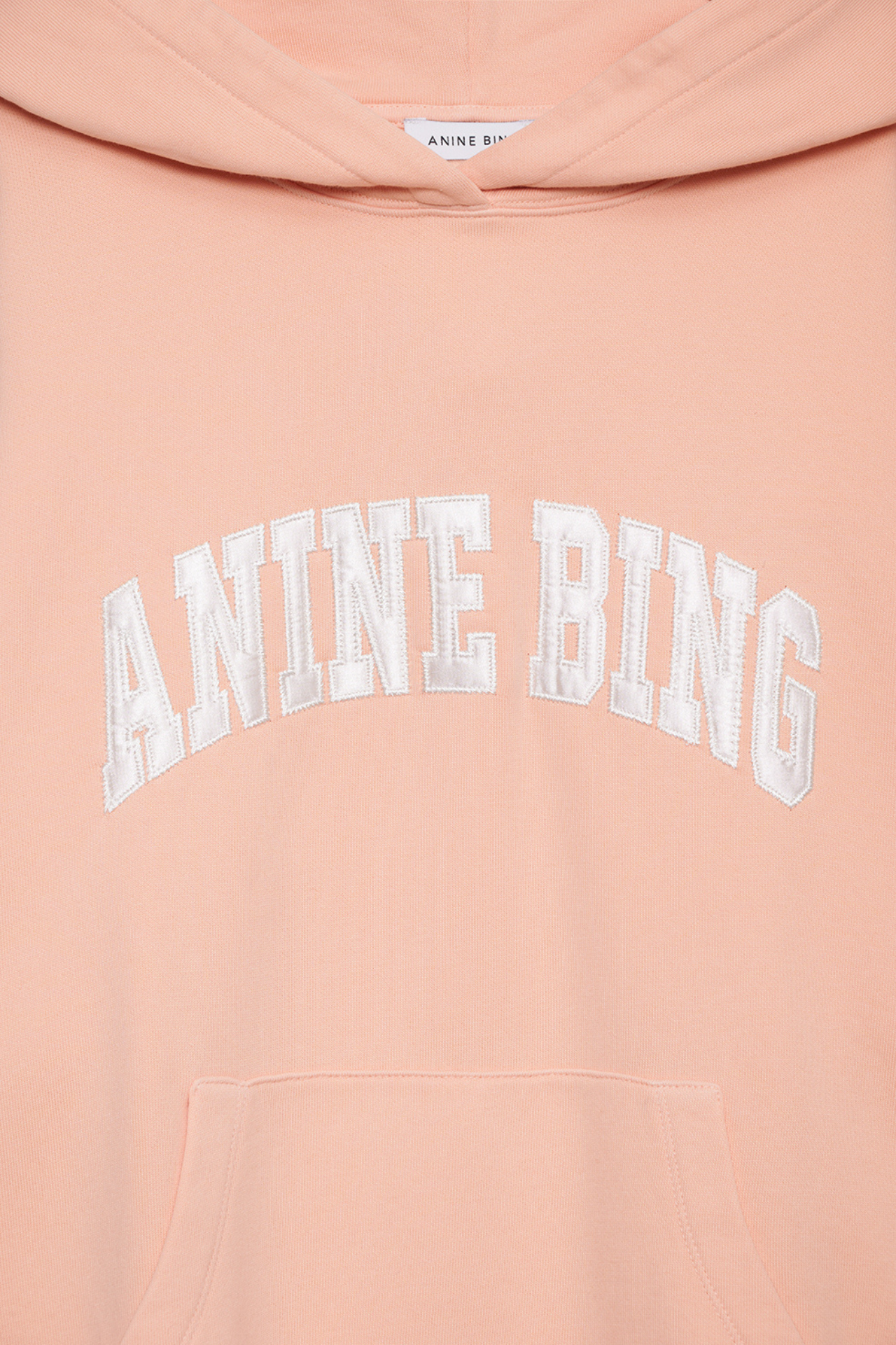 Anine Bing Harvey Sweatshirt Coral Pink